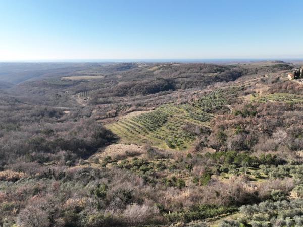 Građevinsko zemljište s panoramskim pogledom - Istra